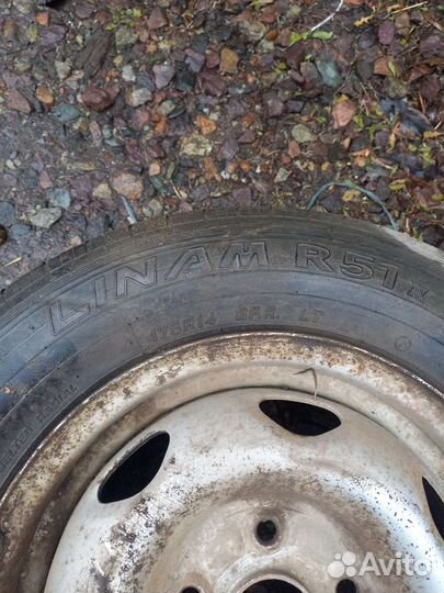 Bridgestone Blizzak DM-V1 175/70 R14