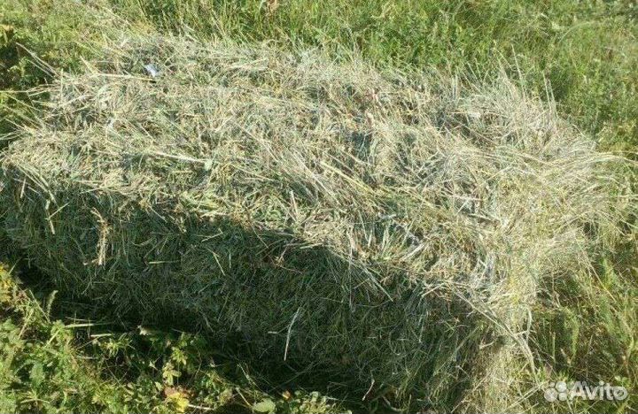 Сено в тюках