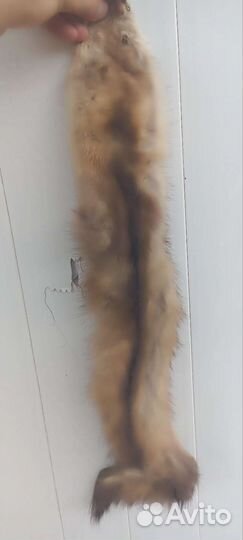 Шкуры норки