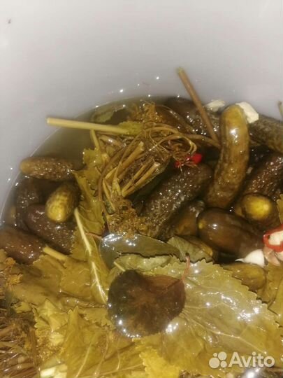 Огурцы соленые, бочковые. Бочковые соленья