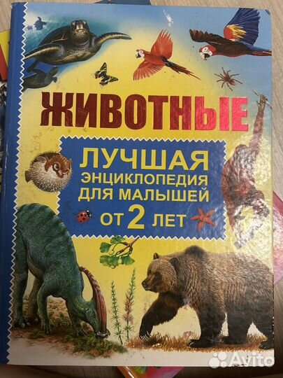 Книги отдам бесплатно
