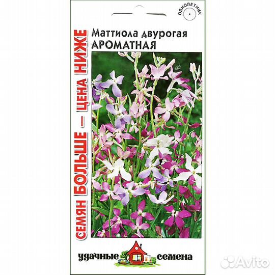 Маттиола двурогая Ароматная