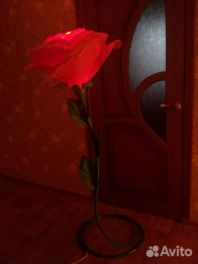 Ростовая роза ночник