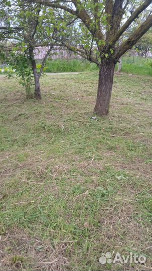 Сад, благоустройство