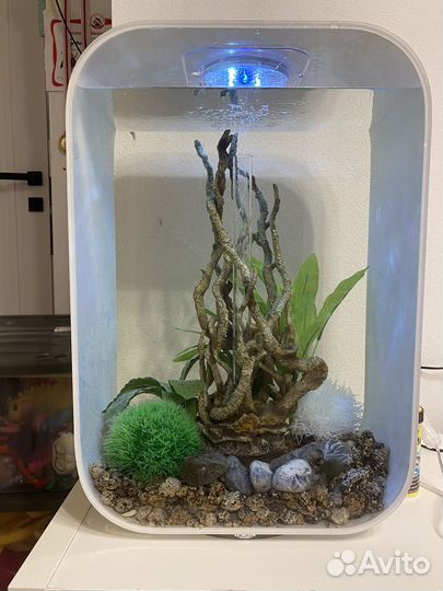 Аквариум biorb life 45 белый + декор-ветки