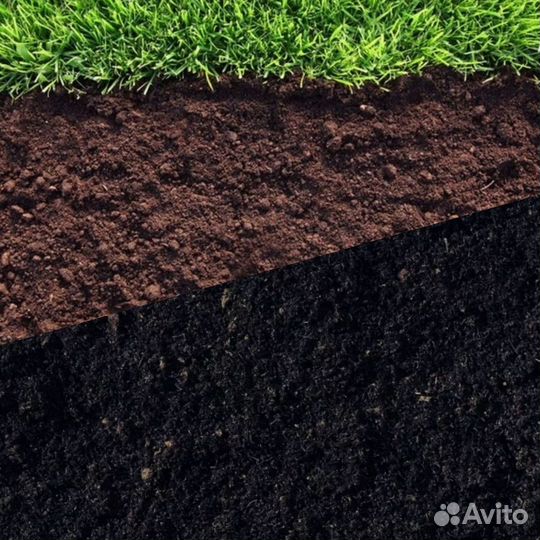 Чернозем, грунт без посредников