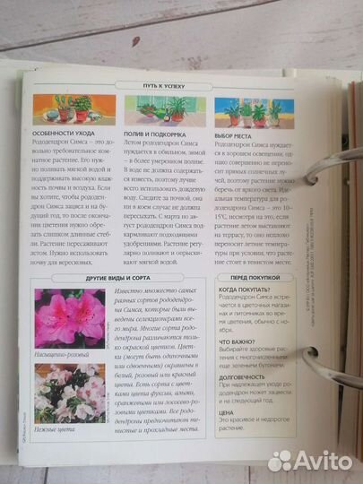 Энциклопедия Цветы дома шаг за шагом