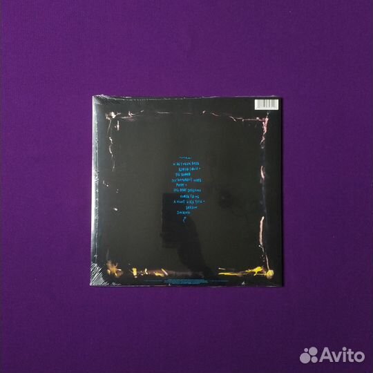 Пластинка The Cure - The Head On The Door