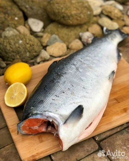 Камчатский дикий лосось Кижуч