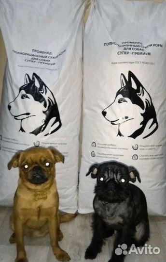 Сухой корм для собак Променад