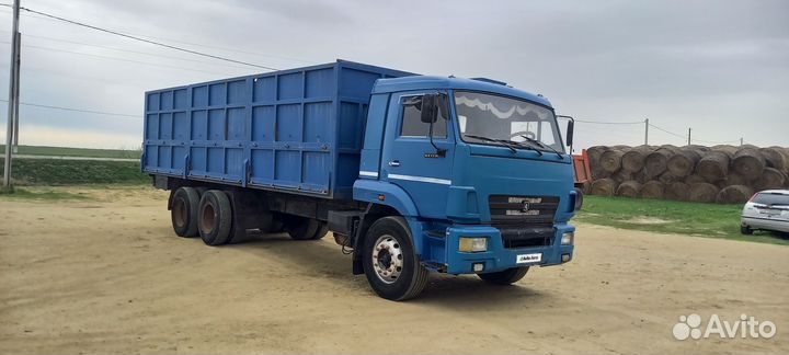 КАМАЗ 65117-N3, 2011