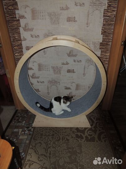 Беговое колесо для кошек