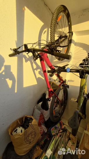 Gt avalanche elite 2021