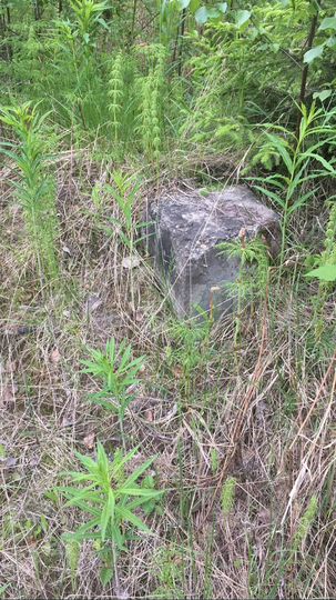 Участок 7,5 сот. (ИЖС)