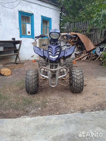 Shineray XY200stii Patron Scaner
