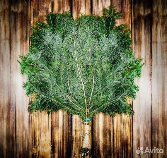 Еловые веники для бани