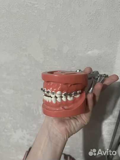 Фантомная челюсть