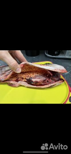 Горбуша непотрошеная свежемороженная