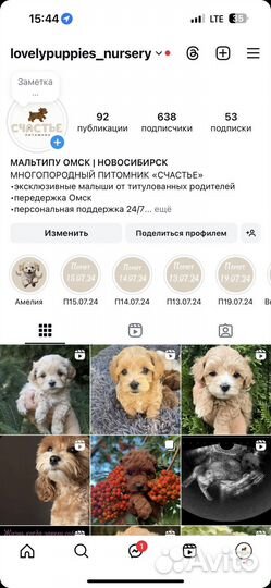 Мальтипу микро мини f1