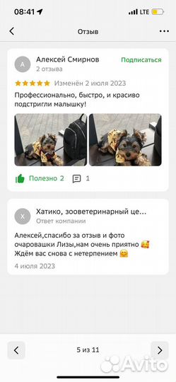 Груминг кошек стрижка кошек без стресса