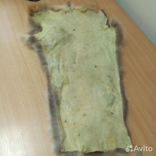 Лисья шкура