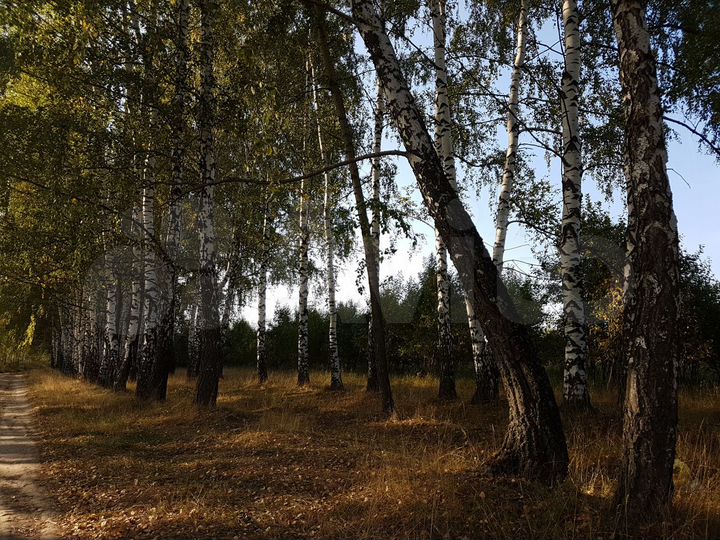 Участок 50 сот. (СНТ, ДНП)