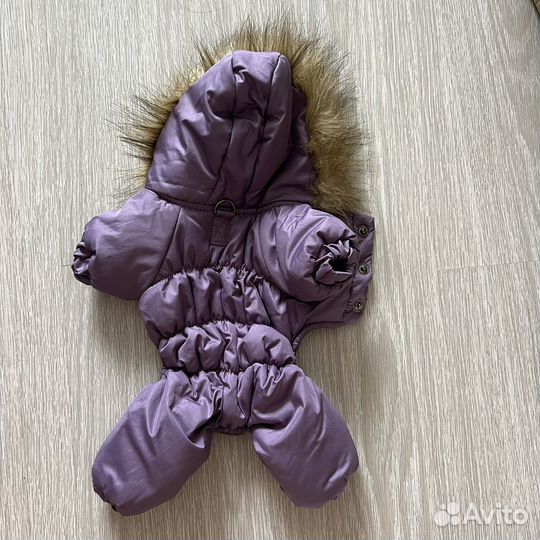 Комбинезон для собаки