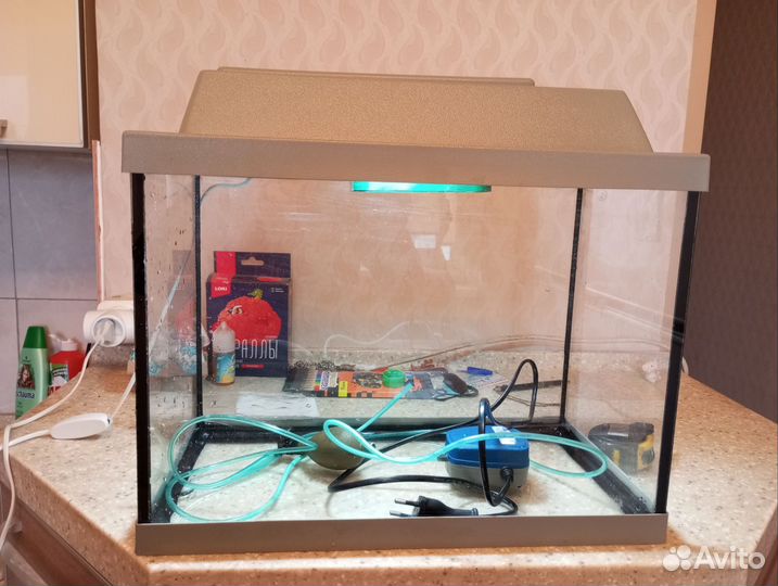Аквариум