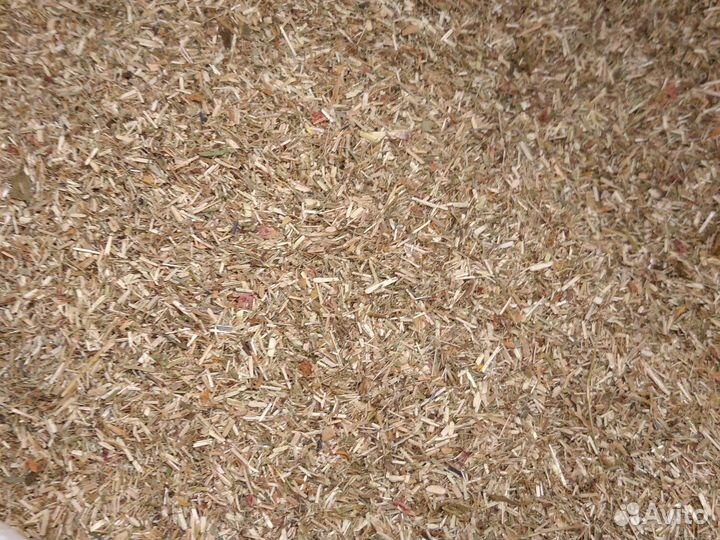 Тысячелистник сушёный