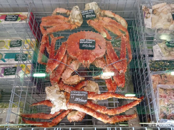 Камчатский краб фаланга