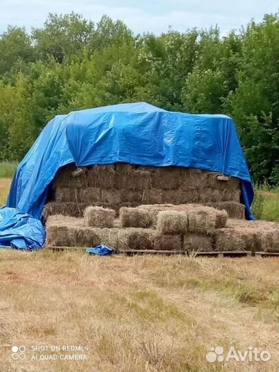 Сено в тюках