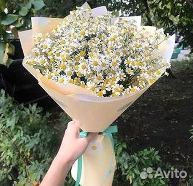 Букеты. Доставка ромашек