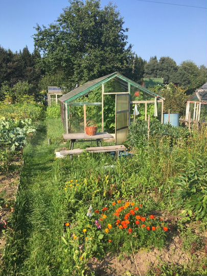 Дача 20 м² на участке 6,3 сот.