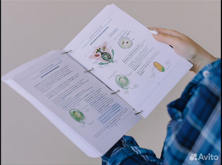 Книга для подготовки к егэ/огэ