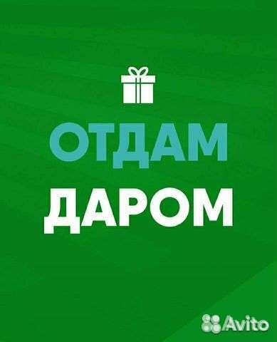 Вещи бесплатно 28 апреля