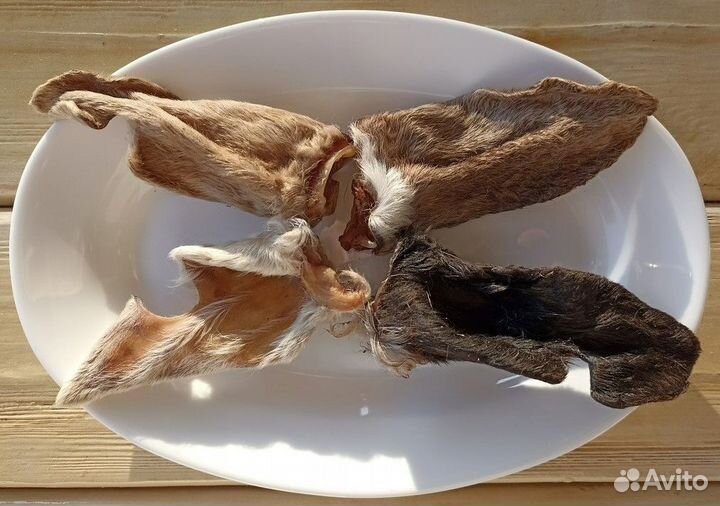 Сушенные лакомства для собак от