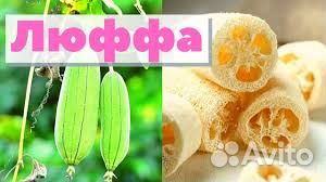 Люффа семена