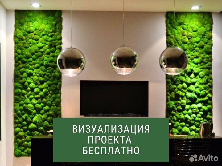 Фитостены из мха стабилизированного. Фитокартины