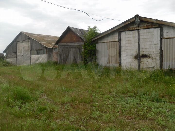 Ферма.база для производства, 1000 м²