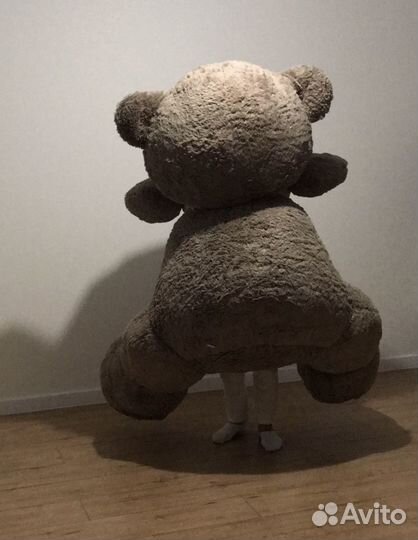 Мишка Тедди