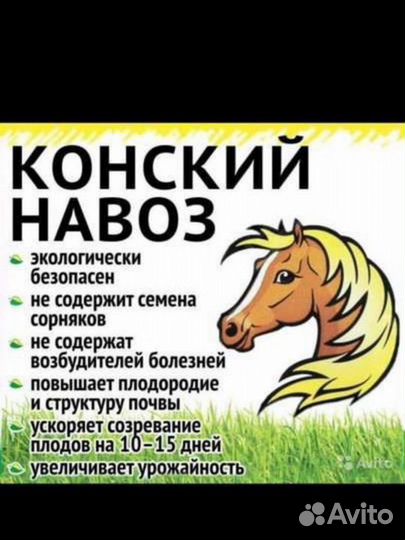 Конский навоз (перегной ) в мешках