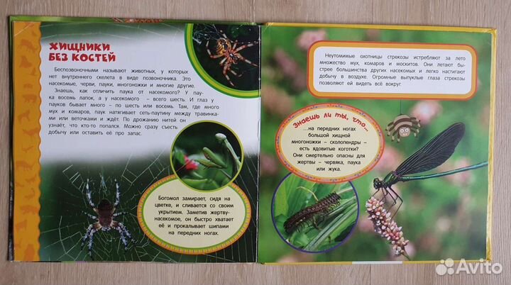 Детская энциклопедия для дошкольников