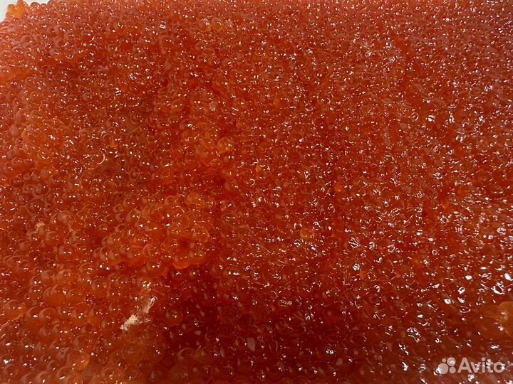 Икра Чавычи 1кг Нерест 2023