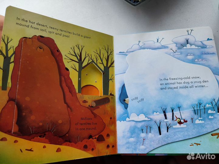 Детская книга Usborne Animal homes