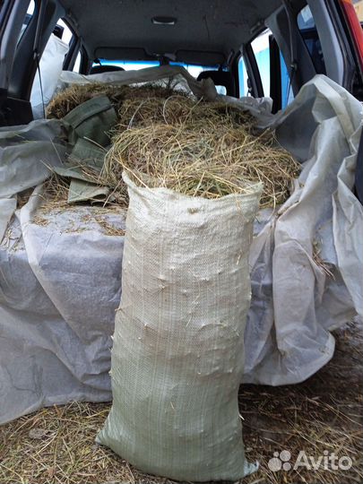 Сено и солома на подстилку собакам и не только