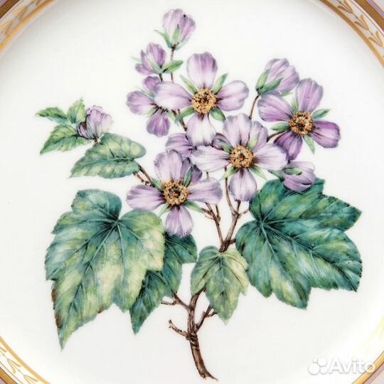 Фарфоровая Тарелка