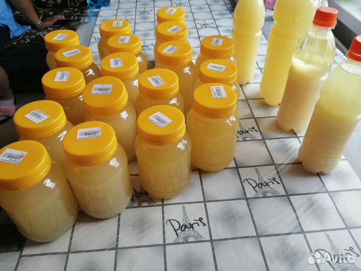 Барсучий жир с Алтая