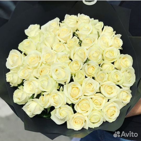 101 Роза Цветы Букеты Тюльпаны доставка 201 51 25