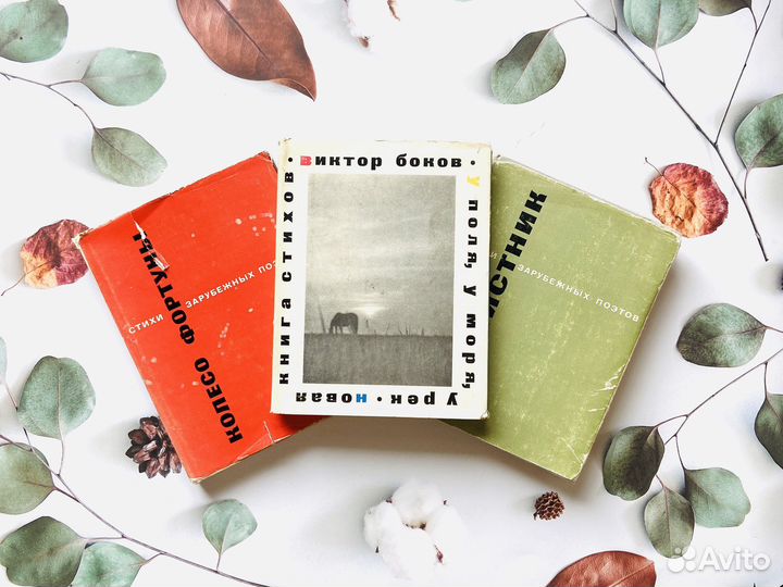 Комплект книг СССР. Поэзия, переводы