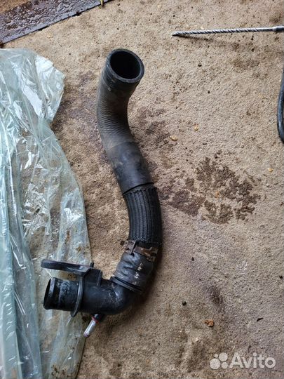 Патрубок радиатора верхний Toyota Rav4